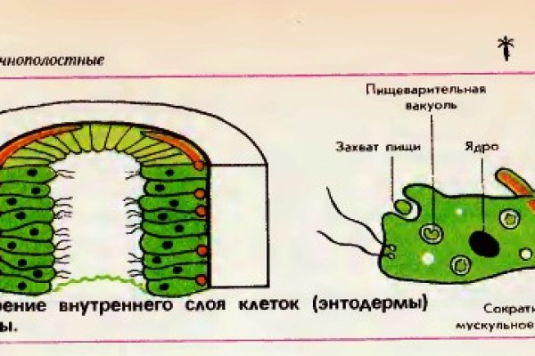 Кракен ссылка прокатис