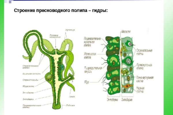 Актуальная ссылка на кракен kraken