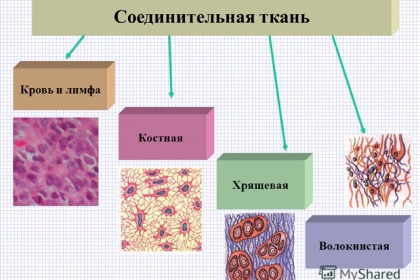 Значок кракена маркетплейса